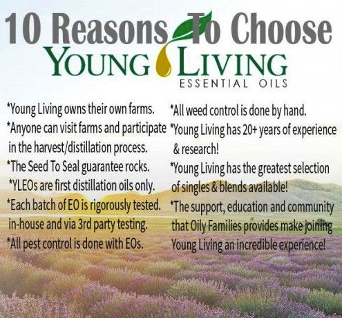 top-10-reasons-to-choose-yl1