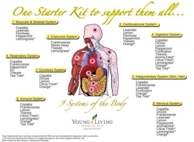 15 - 9 Systems of the body