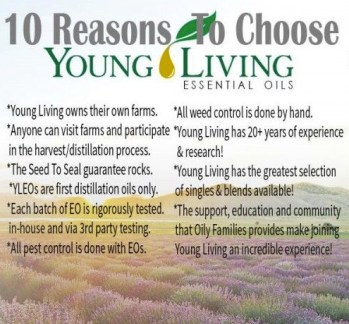 5 - top-10-reasons-to-choose-yl1
