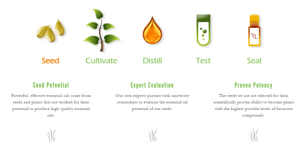 7 - Seed to Seal.jpg
