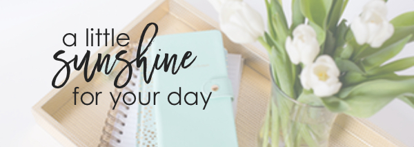 stock images for social media