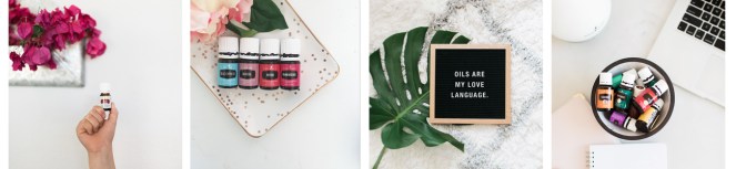 oil photos - sleep newsletter