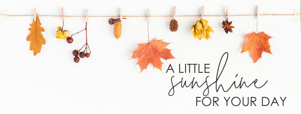 November Weekly Email Header